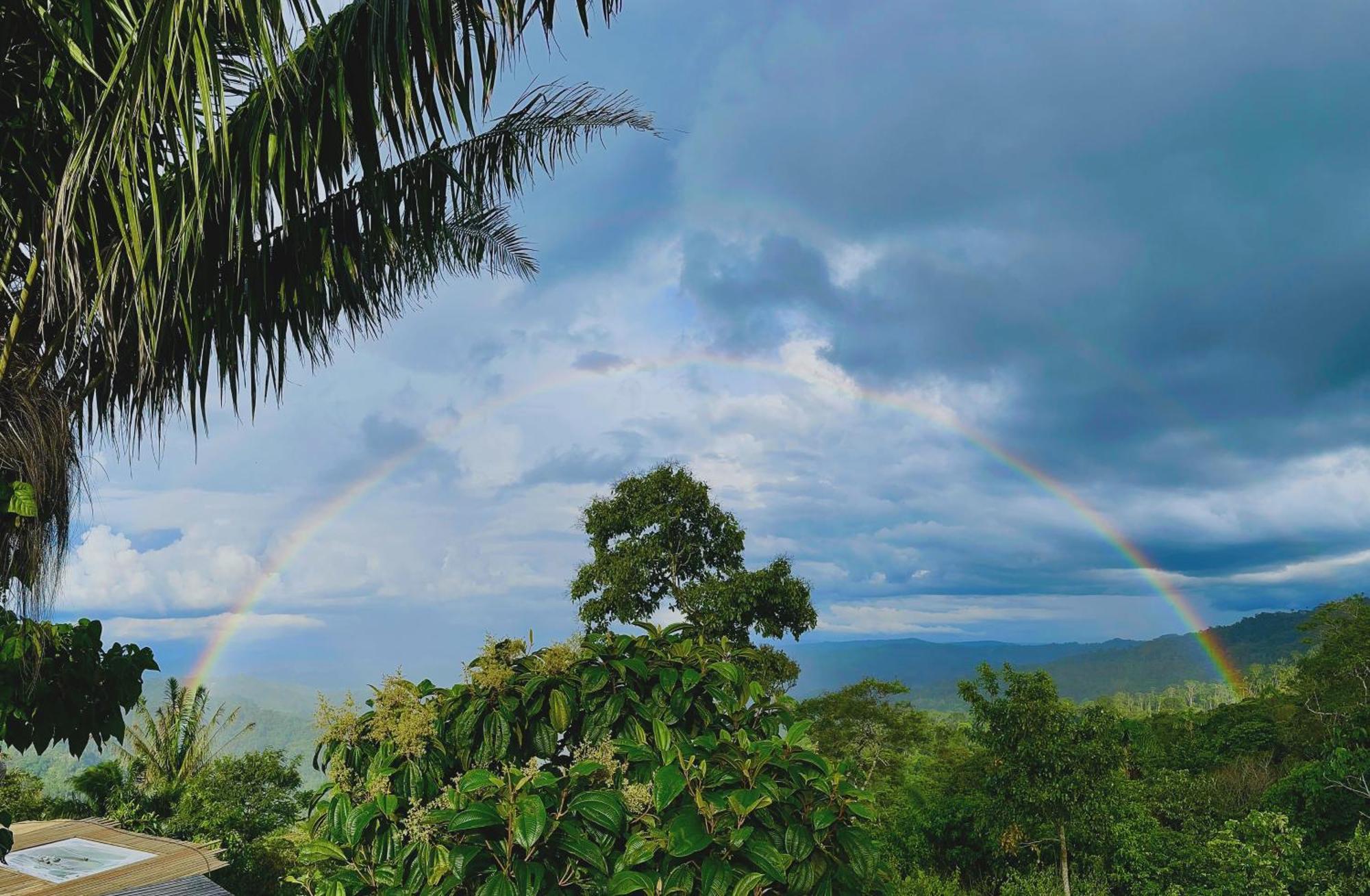 Heimatlos Amazon Lodge Puyo Luaran gambar