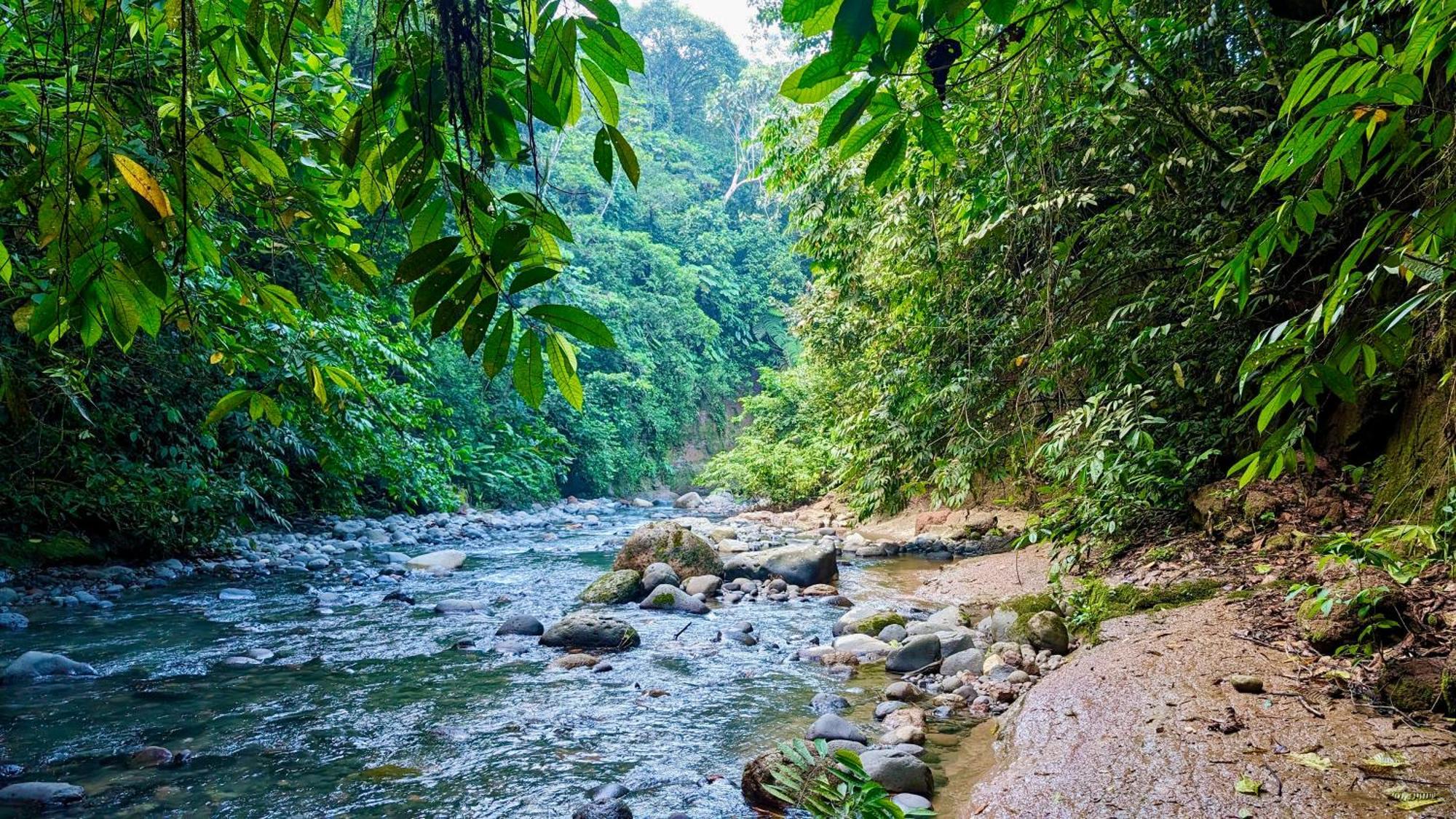 Heimatlos Amazon Lodge Puyo Luaran gambar