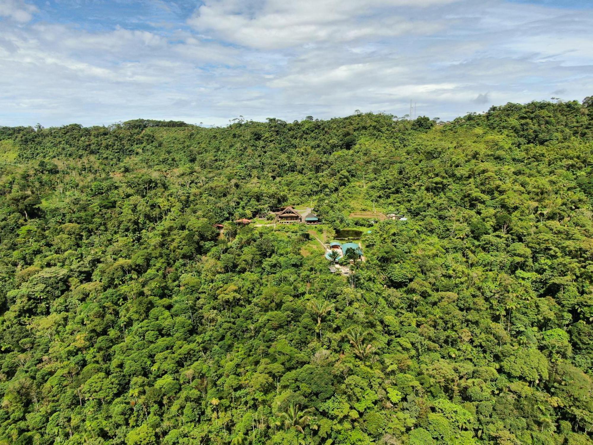 Heimatlos Amazon Lodge Puyo Luaran gambar